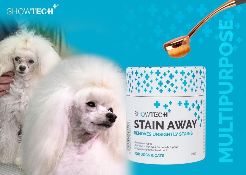 Пудра видаляє непривабливі плями Show Tech+ Stain Away 60 г 1806938178 фото