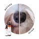 Eye Envy Beard Stain Remover &mdash; спрей для собак і кішок, допоможе усунути плями та запах із бороди та вусів 237 мл 1453080294 фото 4