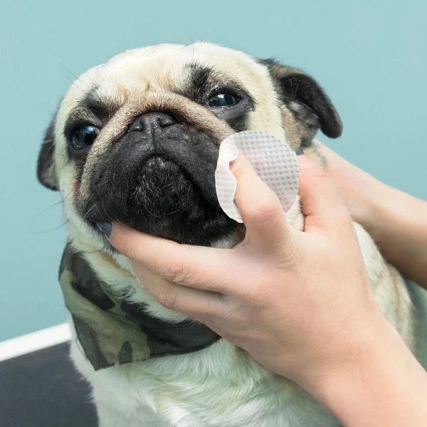 Серветки для гігієни складочок бульдога Eye Envy buldog wipes упаковка 60 шт 2693368891 фото